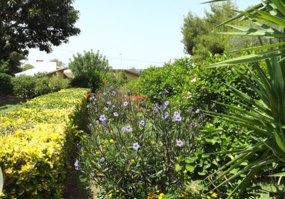 Casa Vacanze Villa Campolato